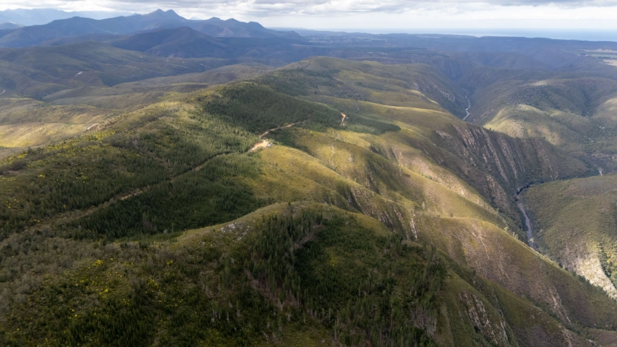 Commercial Property for Sale in Plettenberg Bay Rural Western Cape